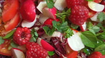 Energiefrische bei EssPunkt-richtig.de