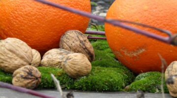 Nährstoffe für den Winter. EssPunkt-richtig.de