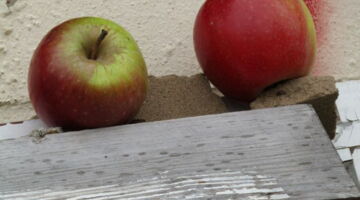 der Apfel - das basische Lebensmittel schlechthin. EssPunkt-richtig