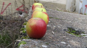 Äpfel gegen Unwohlsein, EssPunkt-richtig.de