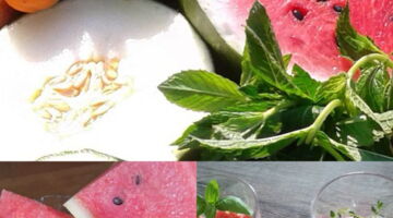 Melonensommerzeit EssPunkt-richtig