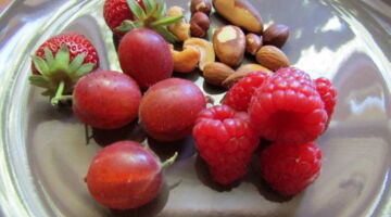 Snack dich gesund, EssPunkt-richtig.de