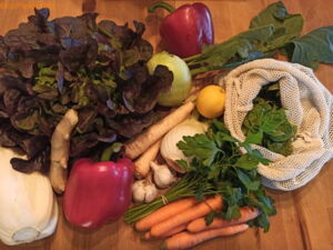 Gemüseauswahl satt, EssPunkt-richtig.de