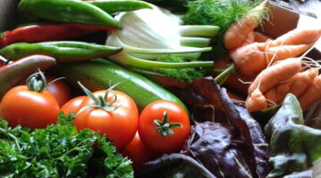 Bunte Vielfalt an Mikronährstoffen, EssPunkt-richtig.de