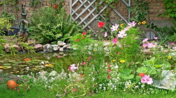 zum Wohlgefühl mit EssPunkt-richtig.de